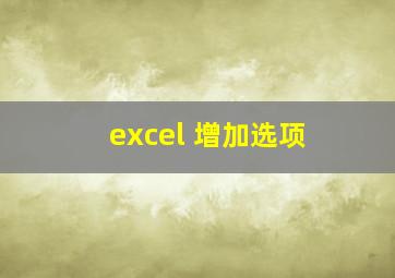 excel 增加选项